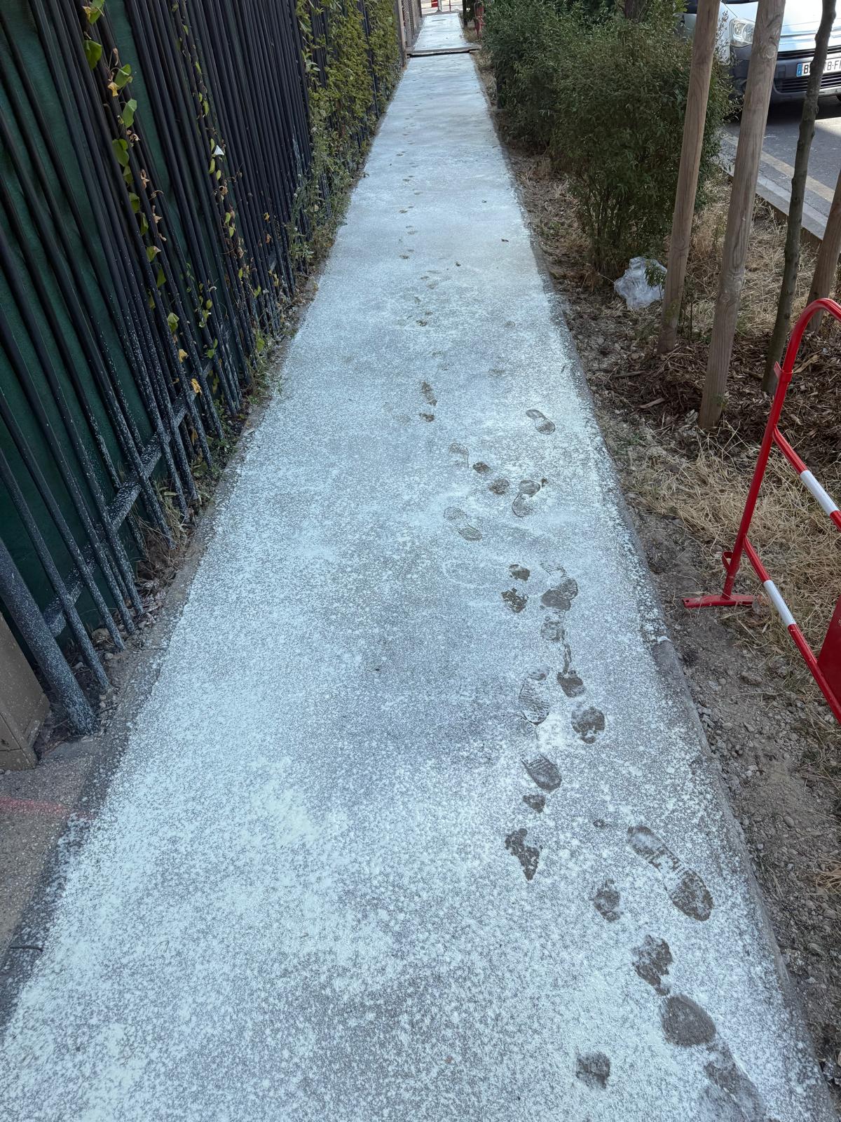 PHOTO 2026 01 03 19 53 40 3 1